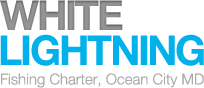 White Lightning Logo
